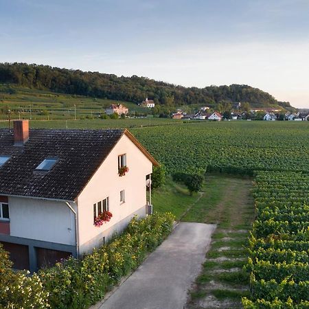 Ferienwohnung Mit 65Qm Niederrotweil Екстериор снимка
