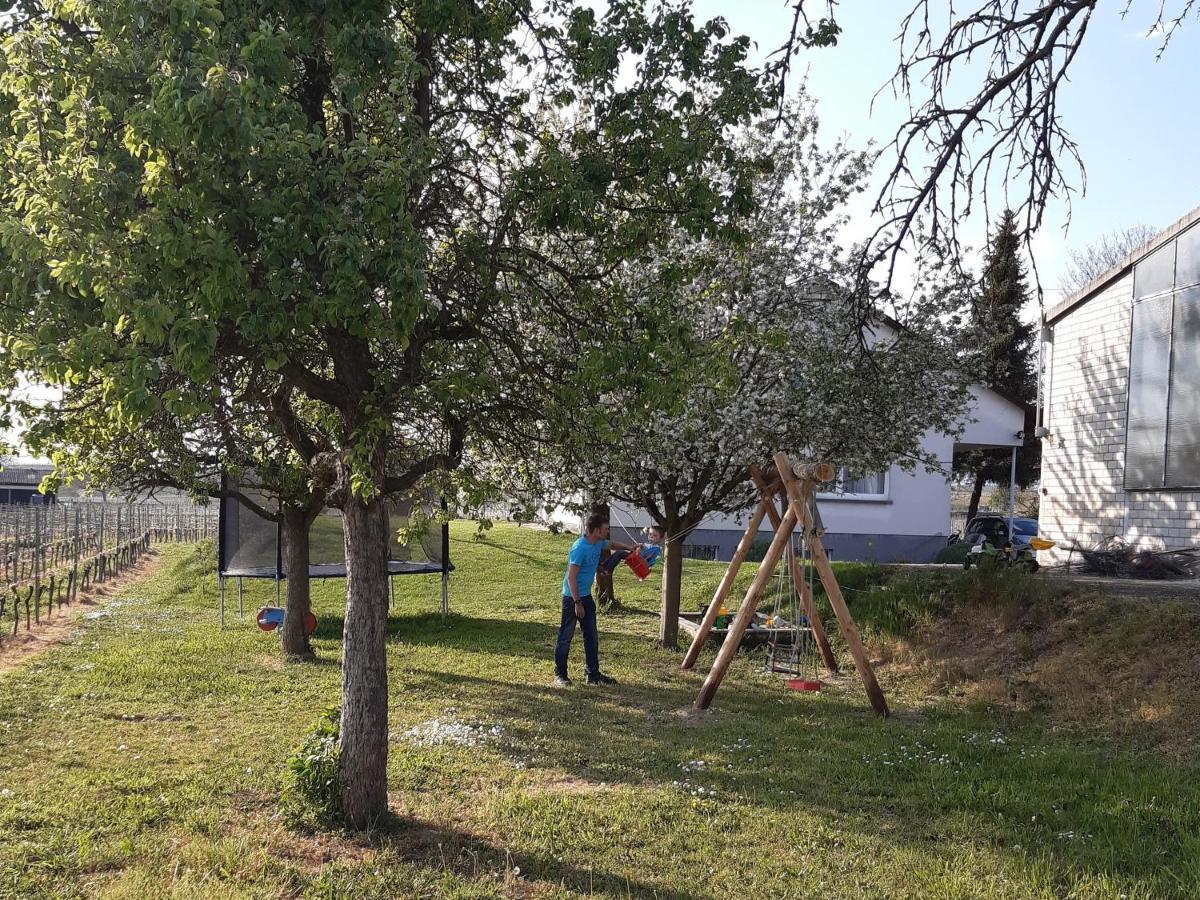 Ferienwohnung Mit 65Qm Niederrotweil Екстериор снимка